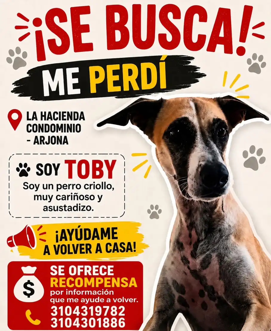 Poster de Toby